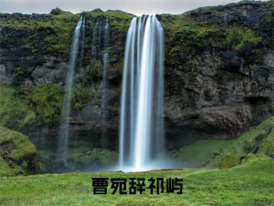 心尖肆意宠最新章节（曹宛辞祁屿小说）全文免费阅读无弹窗大结局_曹宛辞祁屿小说免费阅读（心尖肆意宠）