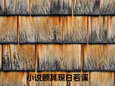 顾其琛白若溪全文免费阅读无弹窗大结局_顾其琛白若溪章节列表_笔趣阁