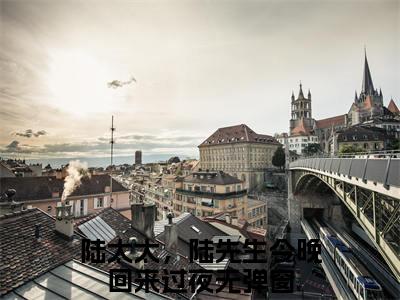 顾南烟陆北城免费小说（陆太太，陆先生今晚回来过夜）全文免费阅读无弹窗大结局_陆太太，陆先生今晚回来过夜最新章节列表_笔趣阁