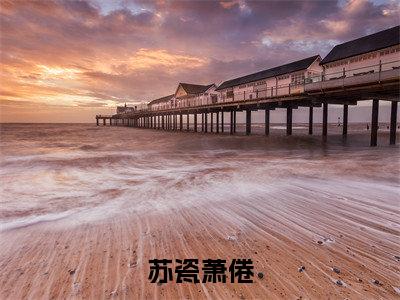 苏瓷萧倦多人追免费无弹窗小说,苏瓷萧倦已完结全集大结局