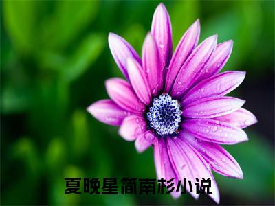 夏晚星简南杉(夏晚星简南杉小说)全文免费阅读无弹窗大结局_夏晚星简南杉小说免费阅读最新章节列表_笔趣阁（夏晚星简南杉小说）