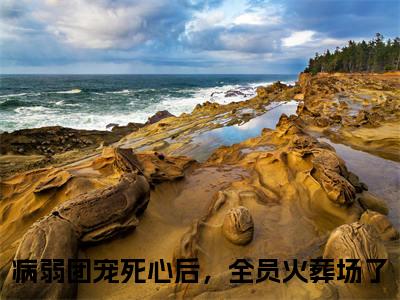 （病弱团宠死心后，全员火葬场了）姜愿谢清辞全文免费阅读无弹窗大结局_姜愿谢清辞最新章节列表笔趣阁（病弱团宠死心后，全员火葬场了）