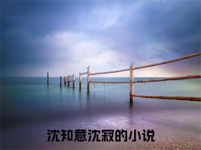 沈知意沈寂小说完整版全文在线赏析-完结版小说（沈知意沈寂）