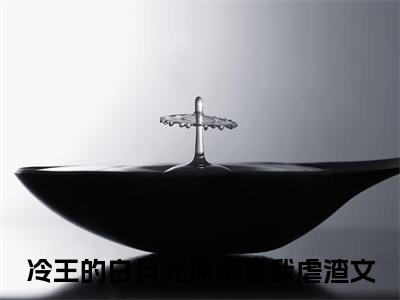 赫连祁白鹭全文免费阅读无弹窗大结局_赫连祁白鹭全文阅读_笔趣阁（冷王的白月光原来是我）