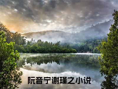 阮音宁谢瑾之小说完整版在线阅读 阮音宁谢瑾之精选小说推荐试读