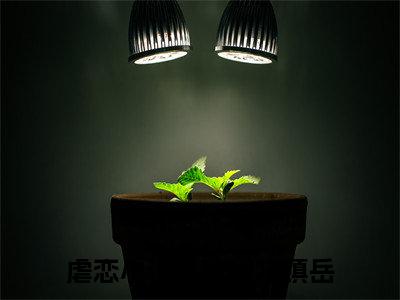 易家怡方镇岳(易家怡方镇岳小说)全文免费阅读无弹窗大结局_易家怡方镇岳小说免费阅读最新章节列表_笔趣阁（易家怡方镇岳小说）