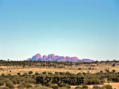 顾夕凝冷亦城的小说全文免费阅读无弹窗,主角名字是顾夕凝冷亦城的小说在线免费阅读大结局