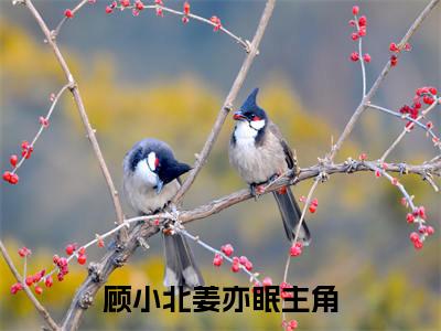 热文（顾小北姜亦眠）美文阅读_热门小说顾小北姜亦眠主人公是（顾小北姜亦眠）最新章节最新章节列表_笔趣阁