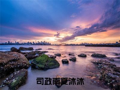 司政南夏沐沐全文免费阅读无弹窗-司政南夏沐沐小说最新章节列表