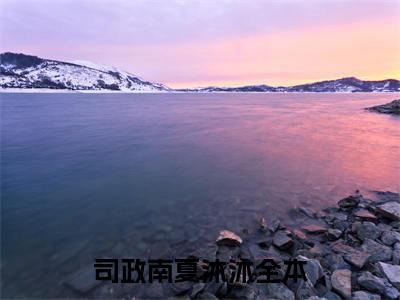 小说司政南夏沐沐免费阅读-（司政南夏沐沐）全文无弹窗阅读