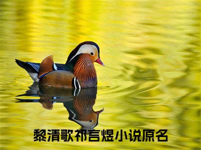黎清歌祁言煜（黎清歌祁言煜）最新章节阅读-黎清歌祁言煜无广告在线阅读