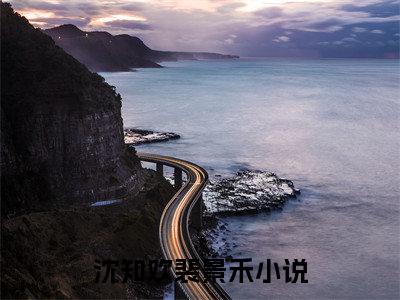 沈知欢裴景禾小说免费大结局全集免费阅读 沈知欢裴景禾章节目录
