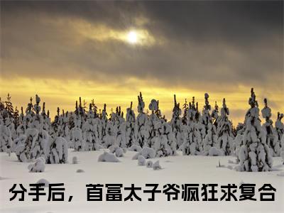 陆风晴霍怀安分手后，首富太子爷疯狂求复合小说（分手后，首富太子爷疯狂求复合）全文在线阅读无弹窗大结局陆风晴霍怀安