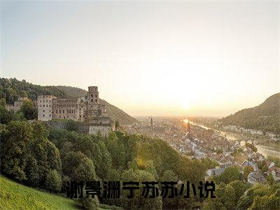 谢景渊宁苏苏（谢景渊宁苏苏）大结局免费小说无弹窗-谢景渊宁苏苏完整版阅读-笔趣阁