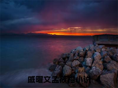戚曜文孟筱梅全文(戚曜文孟筱梅)全文免费阅读无弹窗大结局_(戚曜文孟筱梅全文免费阅读全文大结局)戚曜文孟筱梅最新章节列表_笔趣阁（戚曜文孟筱梅全文）