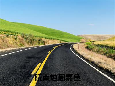 阮南烛周嘉鱼（阮南烛周嘉鱼）免费小说-（阮南烛周嘉鱼）完结版在线阅读