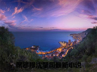 席穆穆沈擎司（席穆穆沈擎司）全文免费阅读_席穆穆沈擎司（席穆穆沈擎司）最新章节小说免费阅读