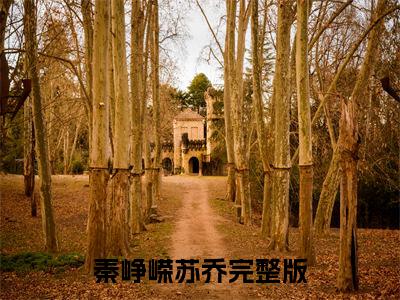 秦峥嵘苏乔(重生踹翻渣男，七零军嫂一胎三宝)全文免费阅读无弹窗大结局_(秦峥嵘苏乔免费阅读全文大结局)最新章节列表_笔趣阁（重生踹翻渣男，七零军嫂一胎三宝）