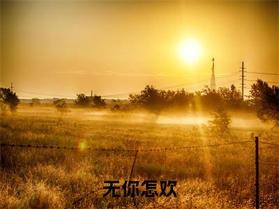 宋姒卿厉漠尘（无你怎欢）小说全文免费阅读无弹窗_（无你怎欢）最新章节列表_笔趣阁