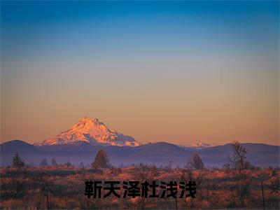 靳天泽杜浅浅免费阅读大结局无弹窗-小说推荐靳天泽杜浅浅精彩章节在线阅读