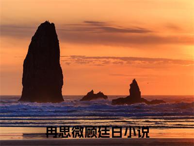 冉思微顾廷白（冉思微顾廷白小说）全文免费阅读无弹窗大结局_(冉思微顾廷白小说免费阅读)最新章节列表