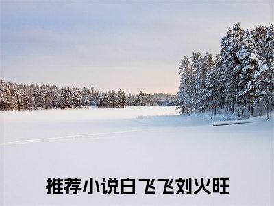 白飞飞刘火旺全文免费在线阅读_（合同囚徒全文免费阅读无弹窗大结局）