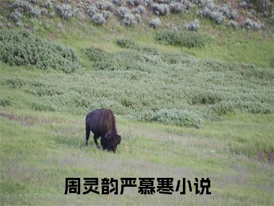 周灵韵严慕寒（周灵韵严慕寒）全文小说免费阅读-周灵韵严慕寒最新章节列表_笔趣阁