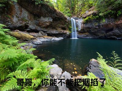 哥哥，你能不能把烟掐了（秦漫靳之衍）完结版小说-哥哥，你能不能把烟掐了小说全文免费阅读笔趣阁