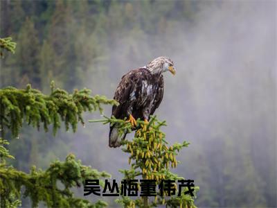 吴丛梅董伟茂(吴丛梅董伟茂)全文免费阅读无弹窗大结局_(吴丛梅董伟茂)免费阅读无弹窗最新章节列表