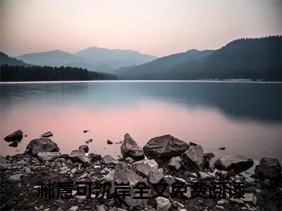 林意可沈岸（林意可沈岸）全文在线阅读无弹窗大结局_(林意可沈岸免费阅读全文大结局)最新章节列表_笔趣阁（林意可沈岸）