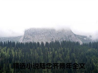 陆念齐景年（陆念齐景年全集无弹窗阅读）陆念齐景年已完结小说全集完整版大结局笔趣阁（陆念齐景年）最新章节列表_笔趣阁