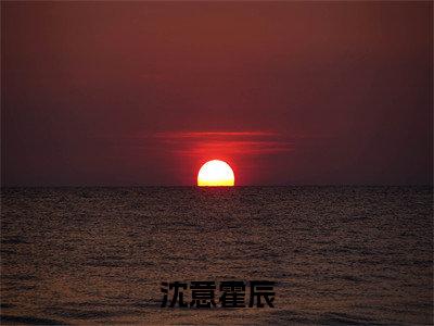 沈意霍辰小说迟解的深情大结局-精彩美文迟解的深情免费阅读