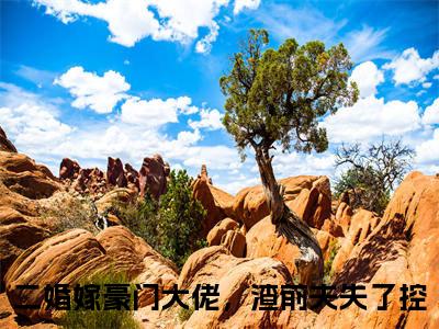 傅南琛余安安（二婚嫁豪门大佬，渣前夫失了控）全文免费阅读_二婚嫁豪门大佬，渣前夫失了控（傅南琛余安安）最新章节列表笔趣阁