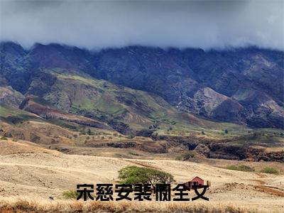 宋慈安裴悯精选热门小说 诱娇：暴戾九千岁蓄谋已久已完结全集大结局