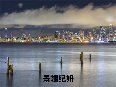 景翎纪妍小说最新试读_景翎纪妍是(景翎纪妍全文完整版免费阅读)_笔趣阁