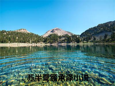 苏半夏顾承泽（苏半夏顾承泽）免费小说-（苏半夏顾承泽）完结版在线阅读