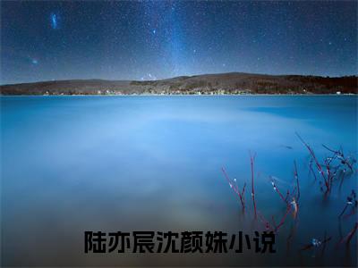 小说(陆亦宸沈颜姝)全文免费阅读_(陆亦宸沈颜姝)小说全文免费阅读
