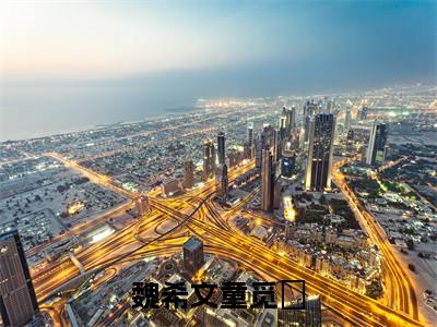 魏希文童觅玥全文（魏希文童觅玥）全文免费阅读无弹窗大结局_魏希文童觅玥全文最新章节列表_笔趣阁（魏希文童觅玥）