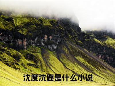 沈度沈鹿（沈度沈鹿小说全文）在线阅读-沈度沈鹿全文免费阅读无弹窗大结局