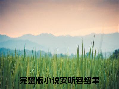 安昕容绍聿(安昕容绍聿小说)最新在线阅读_安昕容绍聿小说免费阅读