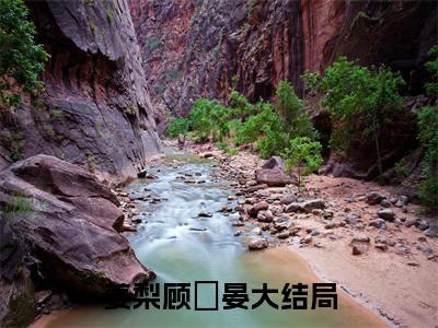 免费小说（姜梨顾祇晏）全文免费阅读无弹窗-姜梨顾祇晏小说全文在线赏析