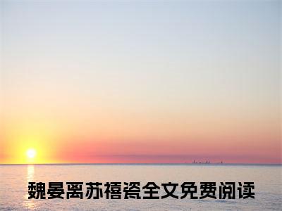 魏晏离苏禧瓷（魏晏离苏禧瓷）全文免费阅读无弹窗大结局_ (魏晏离苏禧瓷小说免费阅读)最新章节列表_笔趣阁（魏晏离苏禧瓷）