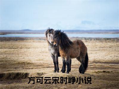 方可云宋时峥（方可云宋时峥小说）全文免费阅读无弹窗大结局_(方可云宋时峥小说免费阅读全文大结局)最新章节列表_笔趣阁（方可云宋时峥）