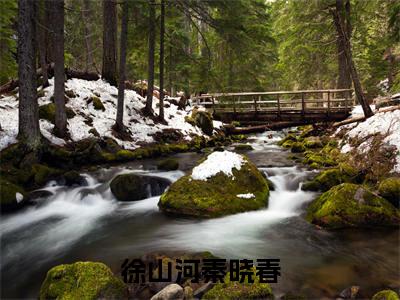 徐山河秦晓春（徐山河秦晓春）全文免费阅读无弹窗大结局_徐山河秦晓春(徐山河秦晓春)小说结局免费阅读（徐山河秦晓春）