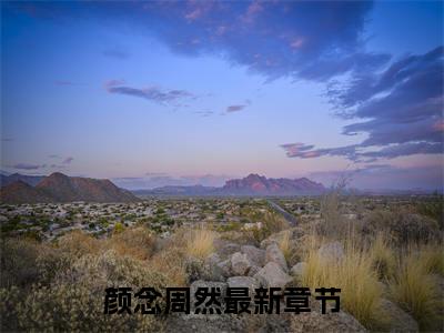 白月光他是顶头上司（颜念周然小说）小说免费最新章节列表_白月光他是顶头上司笔趣阁（颜念周然小说）