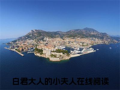 (热推新书)白君大人的小夫人完整版免费小说无弹窗阅读_白君大人的小夫人最新章节列表_笔趣阁（苏婉白重）