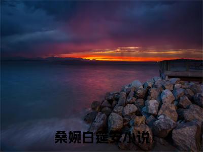 热门推荐小说（桑婉白筵安）精彩章节阅读-桑婉白筵安全文免费在线阅读_笔趣阁