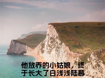 白浅浅陆慕擎免费阅读 他放养的小姑娘，终于长大了最新章节目录