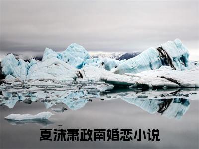 夏沫萧政南（夏沫萧政南）全文免费阅读无弹窗大结局小说-夏沫萧政南最新章节阅读