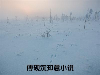 傅砚沈知意经典小说无广告小说免费阅读 傅砚沈知意全章节免费阅读